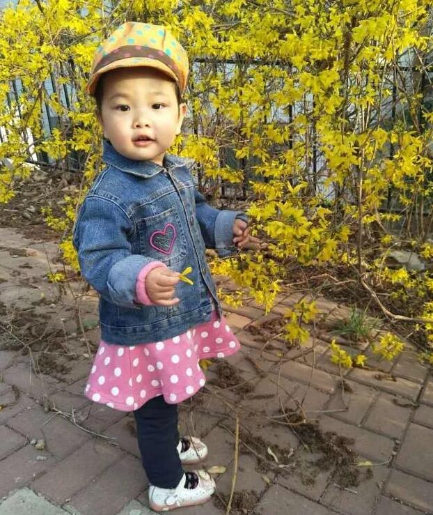 1529389302543371.jpg 20.jpg